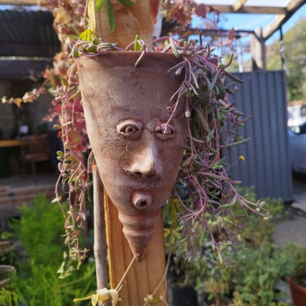 MACETA MURO FIGURA CON PLANTA