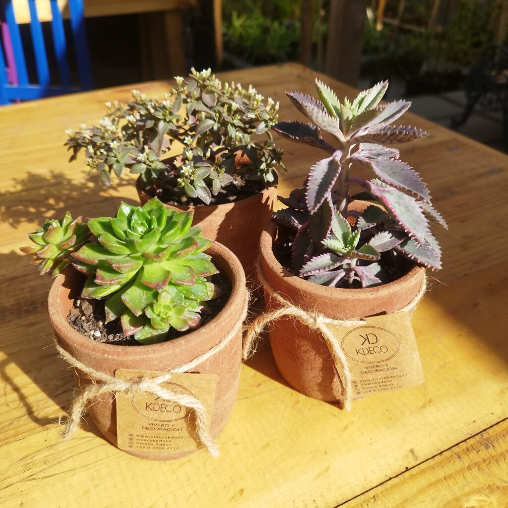 REGALO CORPORATIVO 2