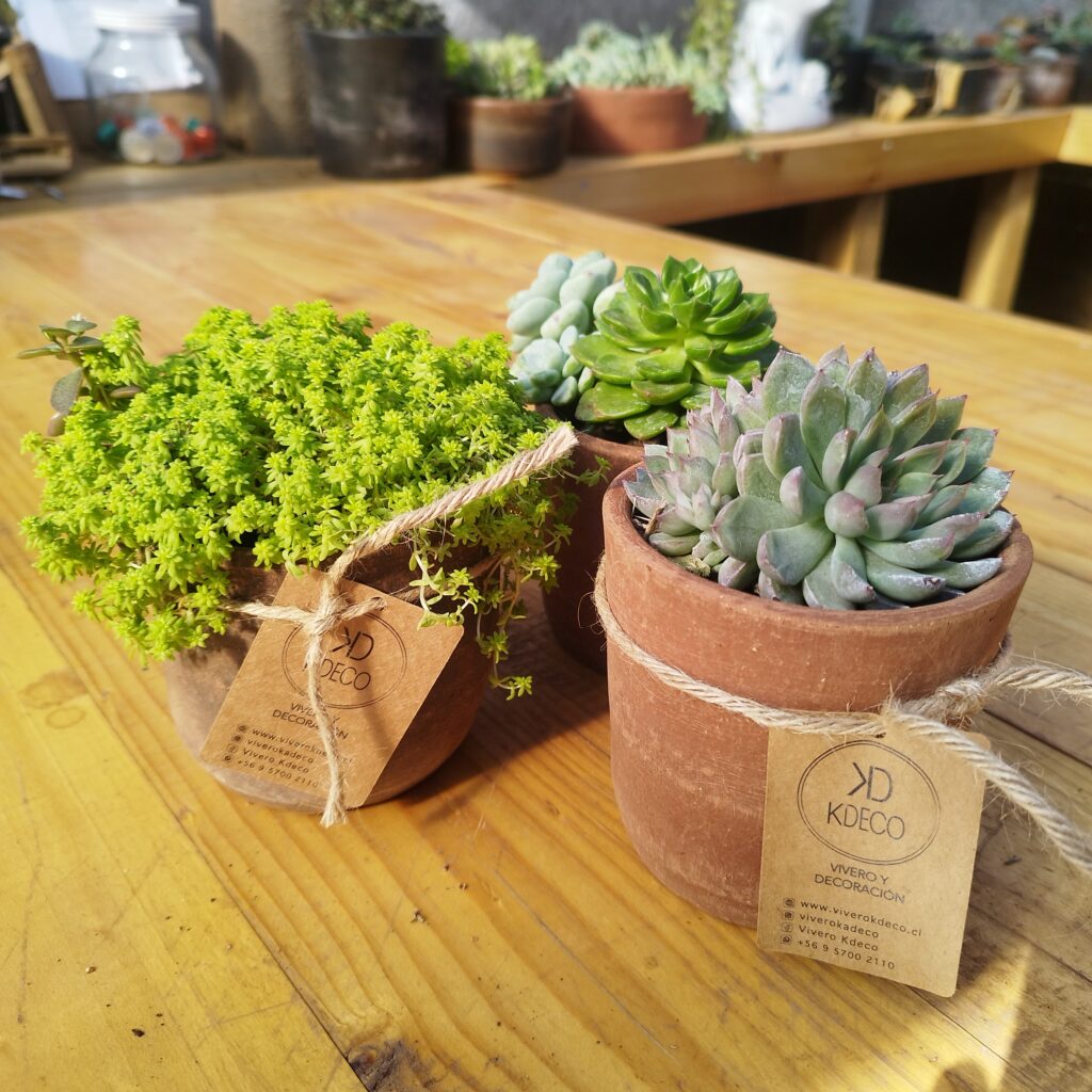 REGALO CORPORATIVO 5